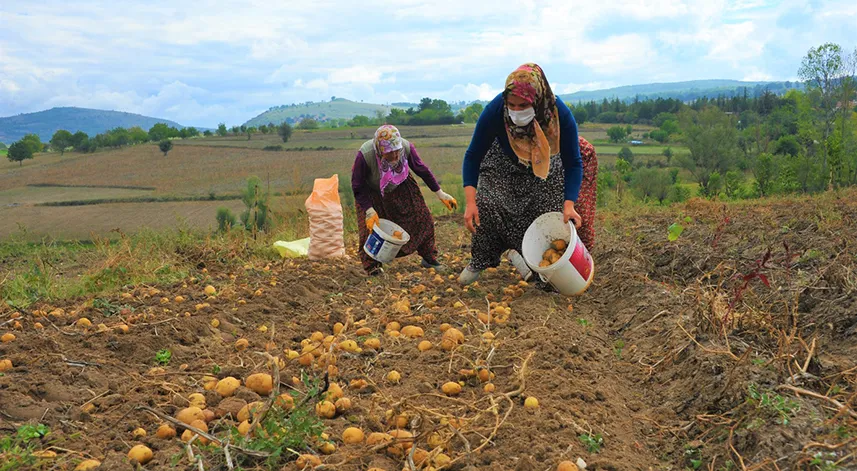 Samsun'da 4 yılda 39 bin 928 çiftçiye 30 milyon lira tarımsal destek sağlandı