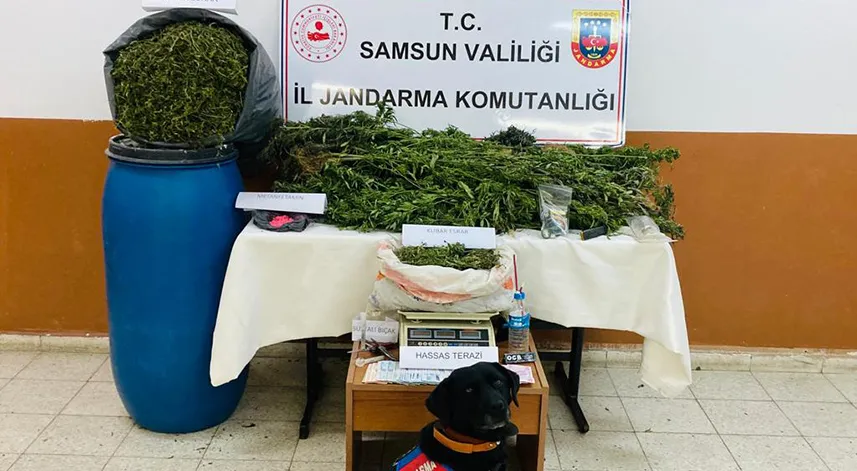 Samsun'da uyuşturucu operasyonunda 1 kişi gözaltına alındı