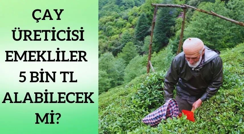 Çay Üreticisi Emekliler 5 Bin TL alabilecek mi?