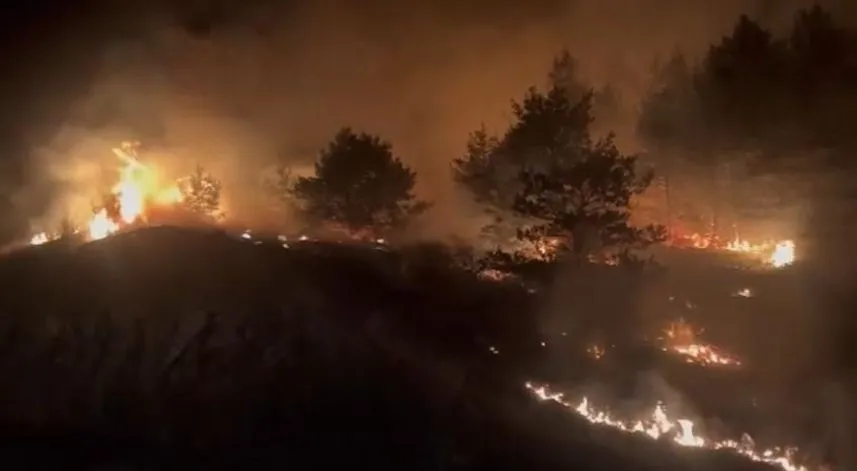 Bolu'da çıkan örtü yangını söndürüldü