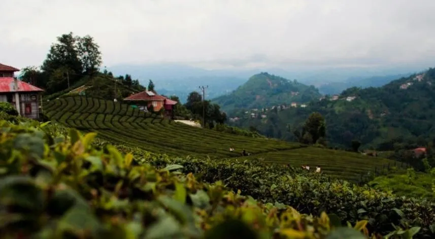 Rize’nin en ilginç köy ve mahalle isimleri nelerdir? 