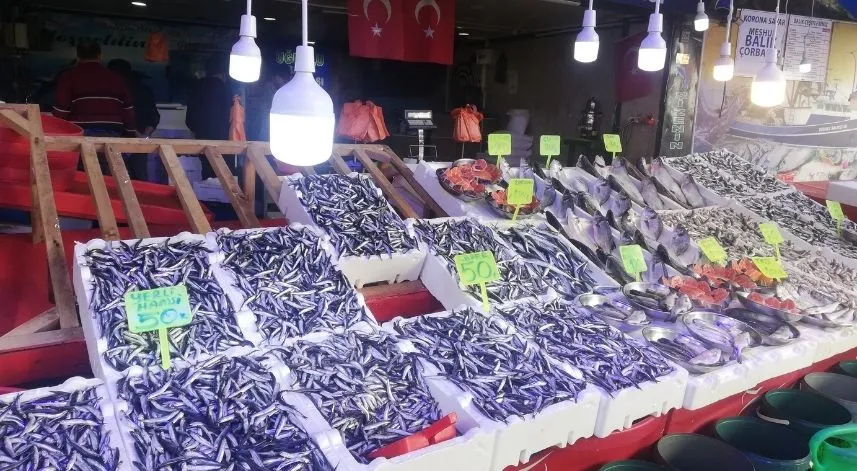 Rize’deki tezgahlarda hamsi bolluğu yaşanıyor