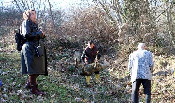 Rüyasında 'mezar' gördüğü arazide, izin alıp kazı çalışması başlattı