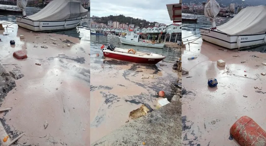 Rize'deki balıkçı teknelerinden kaynaklanan deniz kirliliği endişe yaratıyor
