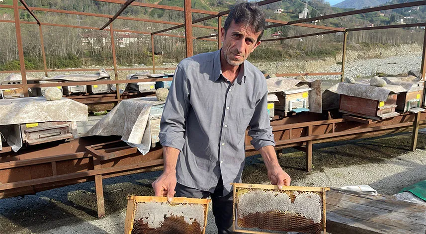 Arılarının 'Kafkas arısı' olduğunu ispatladı şimdi de zararının ödenmesi için mücadele ediyor