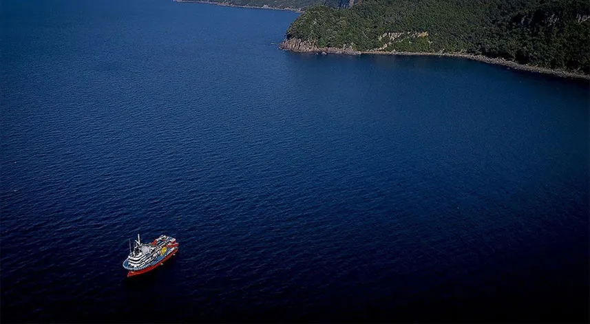 Karadeniz'de deniz suyu sıcaklığı düştü avcılık arttı