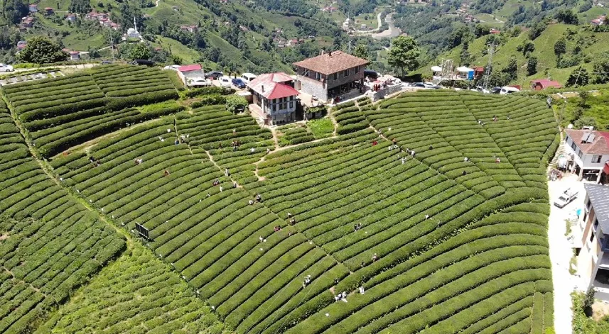 Rize'de Tarım Alanlarına Bakır Madeni Yapılacak