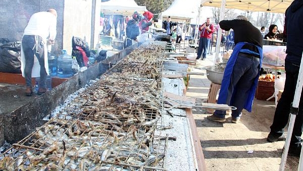 Düzce'deki festivalde 4 ton hamsi dağıtıldı