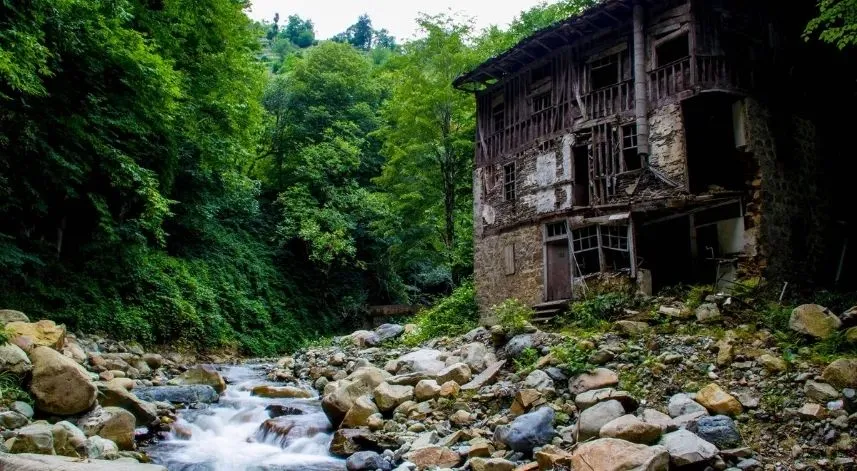  Andon Yaylası’nda hangi aktiviteleri yapabilirsiniz?