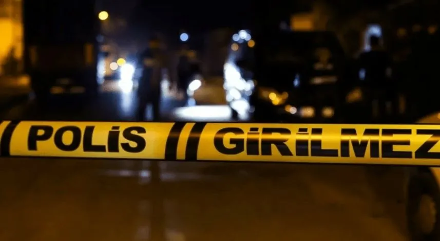 Ordu'da iki otomobil çarpıştı, 3 kişi yaralandı