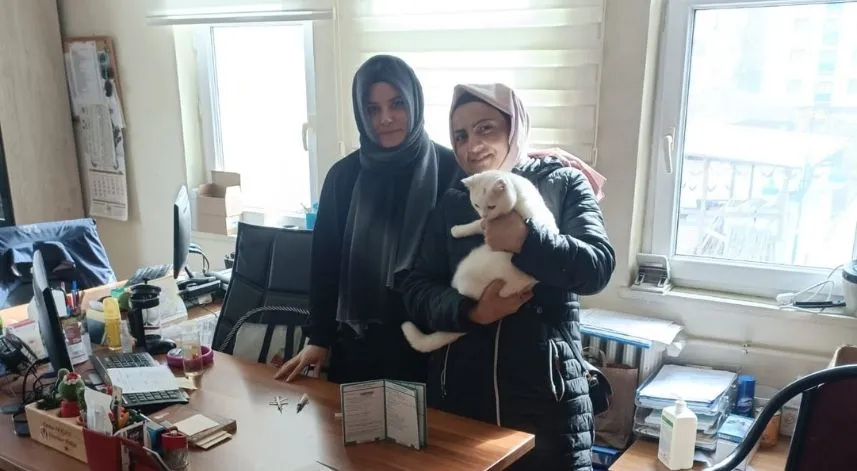 Rize'de kedi ve köpekler kayıt altına alınıyor