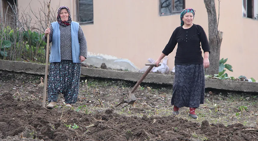 Gençler tarlaya girmiyor   