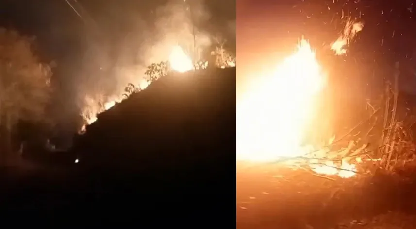 Rize'de ormanlık alanda yangın