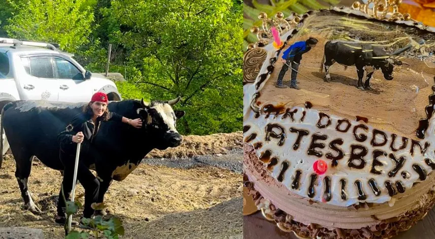 700 kilogramlık boğasının doğum gününü kutladı