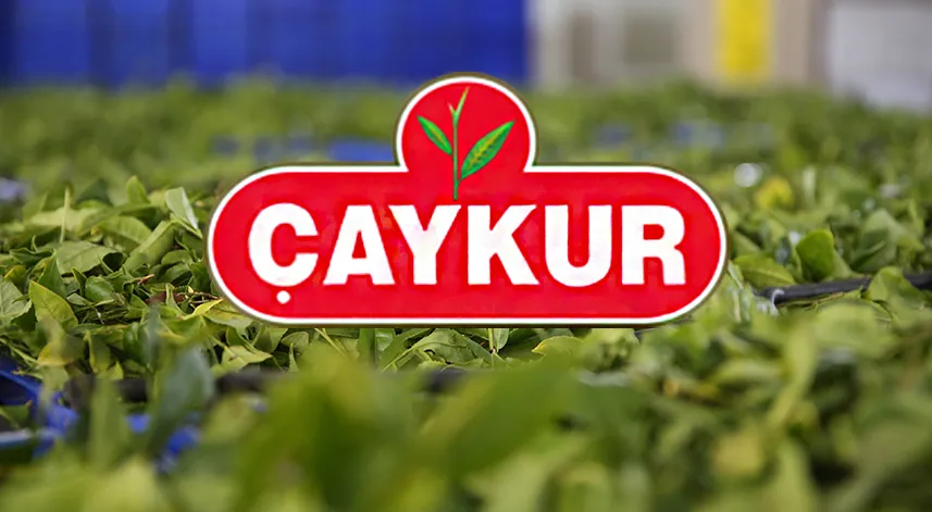 Ambarlık Çay Fabrikası ÇAYKUR eski hükümlü işçi alımı kura sonuçları