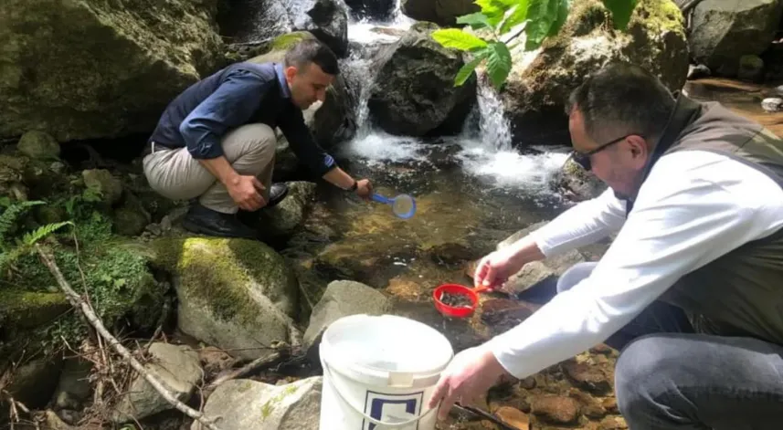 10 bin kırmızı benekli alabalık yavrusu derelere bırakıldı