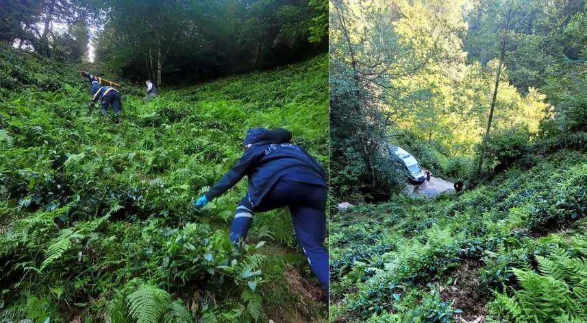 Rize'de çay bahçesinden yuvarlanan bir kişi yaralandı