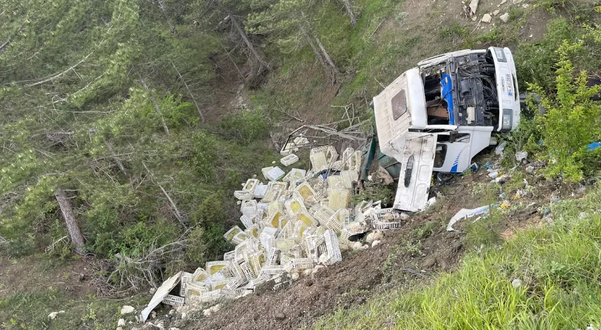 Uçuruma devrilen kamyonun sürücüsü yaralandı