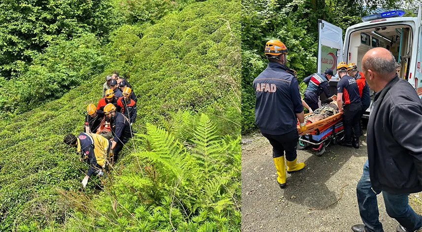 Rize'de üzerine ağaç devrilen bir kişi hastaneye kaldırıldı