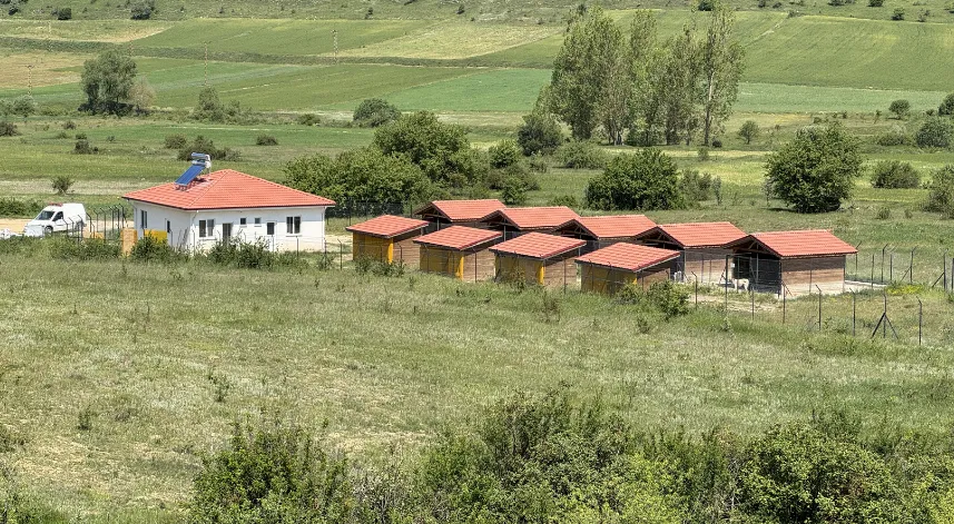 Geçici bakımevinde sahipsiz hayvanların bakım ve tadevileri yapılıyor