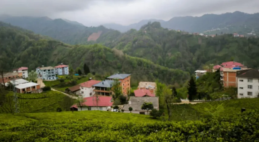 Rize’de muhtarlık seçimi yeniden yapıldı