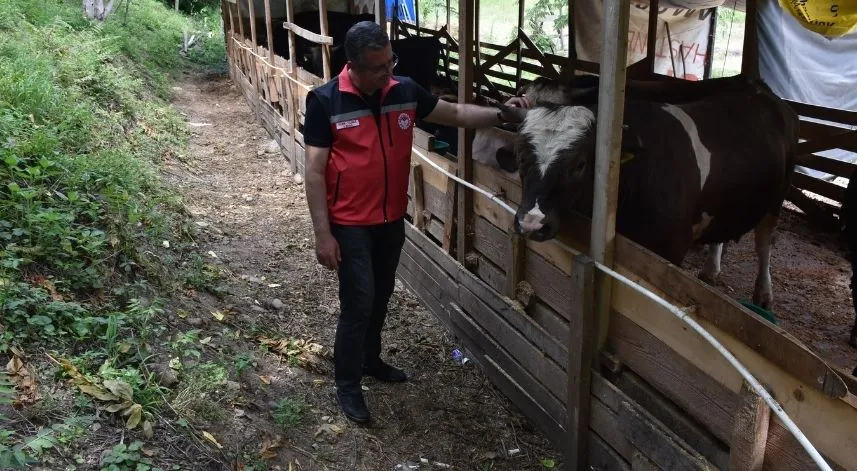 Ordu Tarım ve Orman Müdürü Yılmaz kurban kesimiyle ilgili tavsiyelerde bulundu