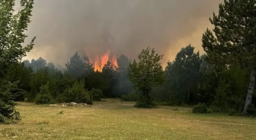 Sinop'ta çıkan orman yangınına havadan ve karadan müdahale ediliyor