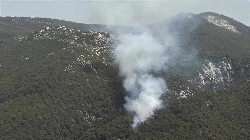 Muğla'nın Milas ilçesinde orman yangını çıktı