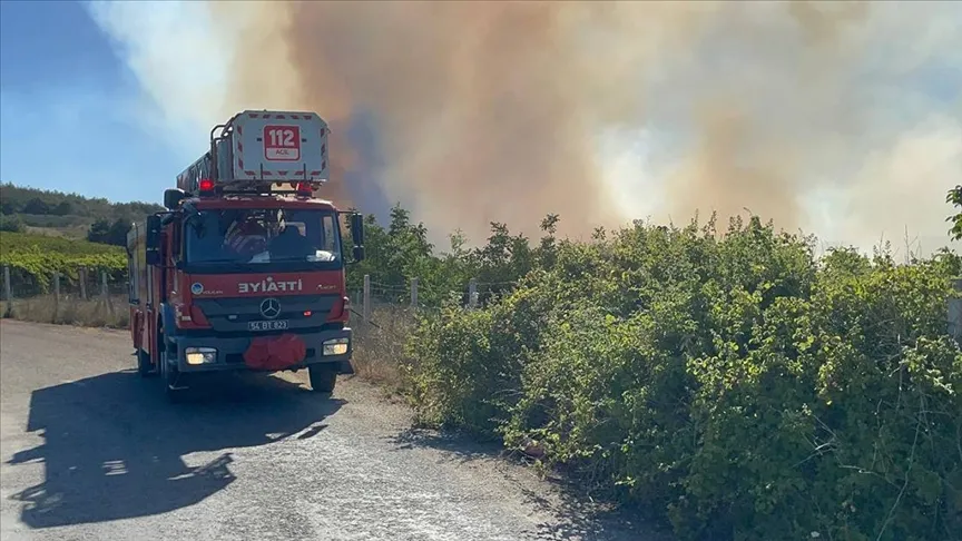 Ormanlık alanda çıkan yangına müdahale ediliyor