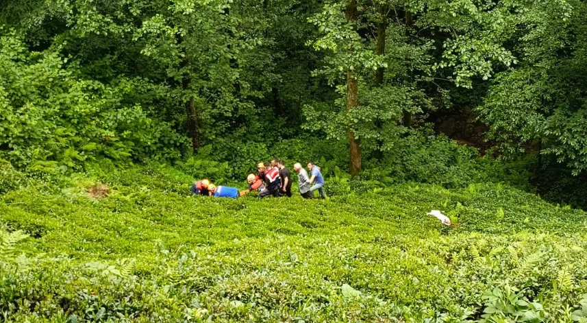 Rize'de odun keserken dereye yuvarlanan kişi yaralandı