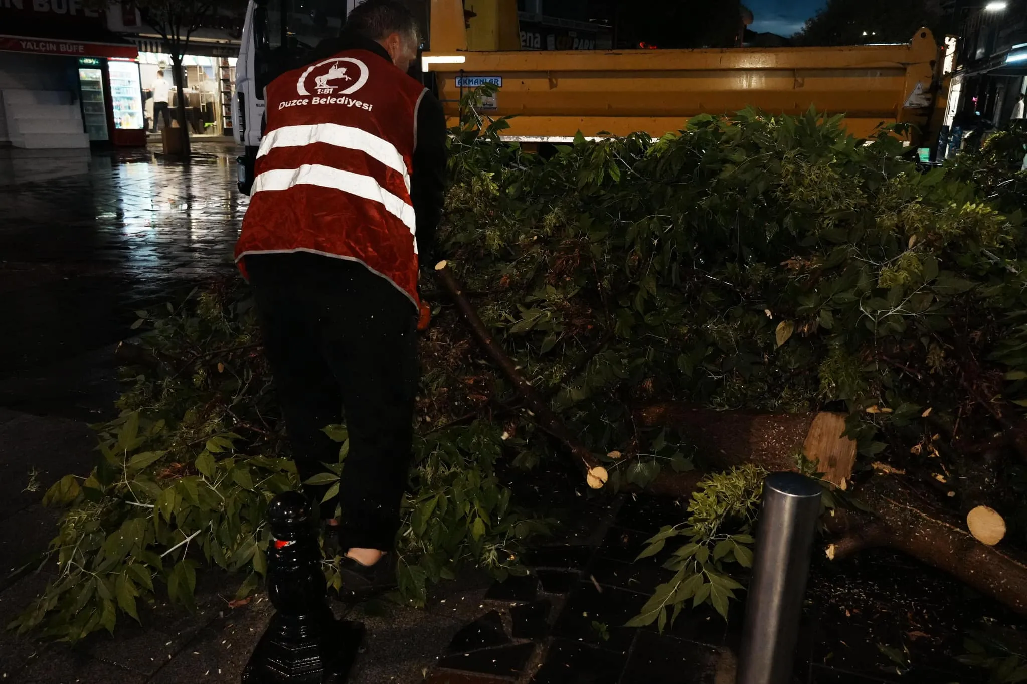 Sağanak nedeniyle devrilen ağaç belediye ekiplerince kaldırıldı