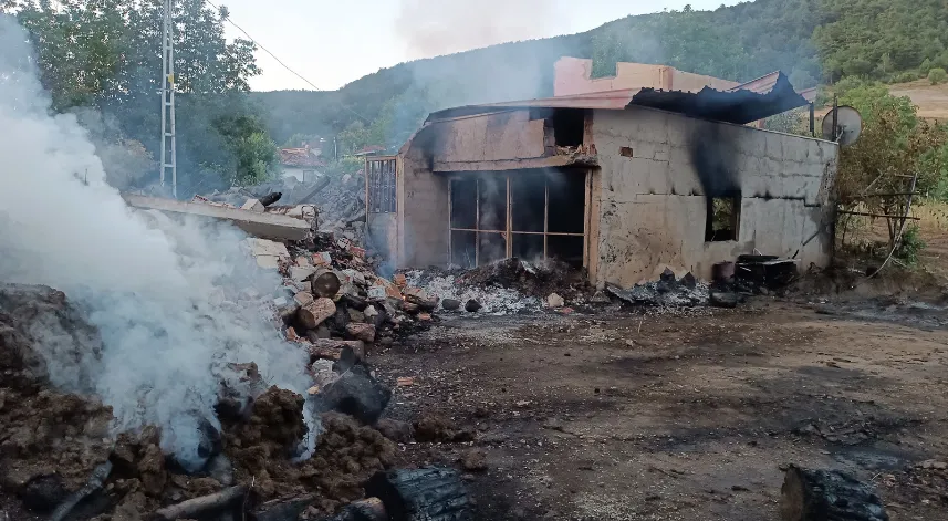 Çıkan yangında 2 ev, samanlık, ahır, traktör ve ambarlar zarar gördü