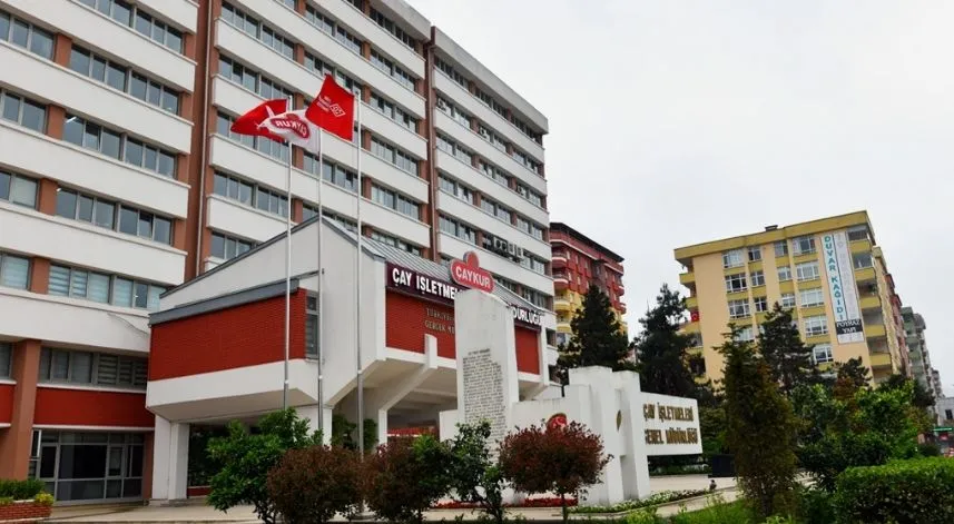 ÇAYKUR'da mevsimlik işçiler işbaşı yapmaya başlıyor