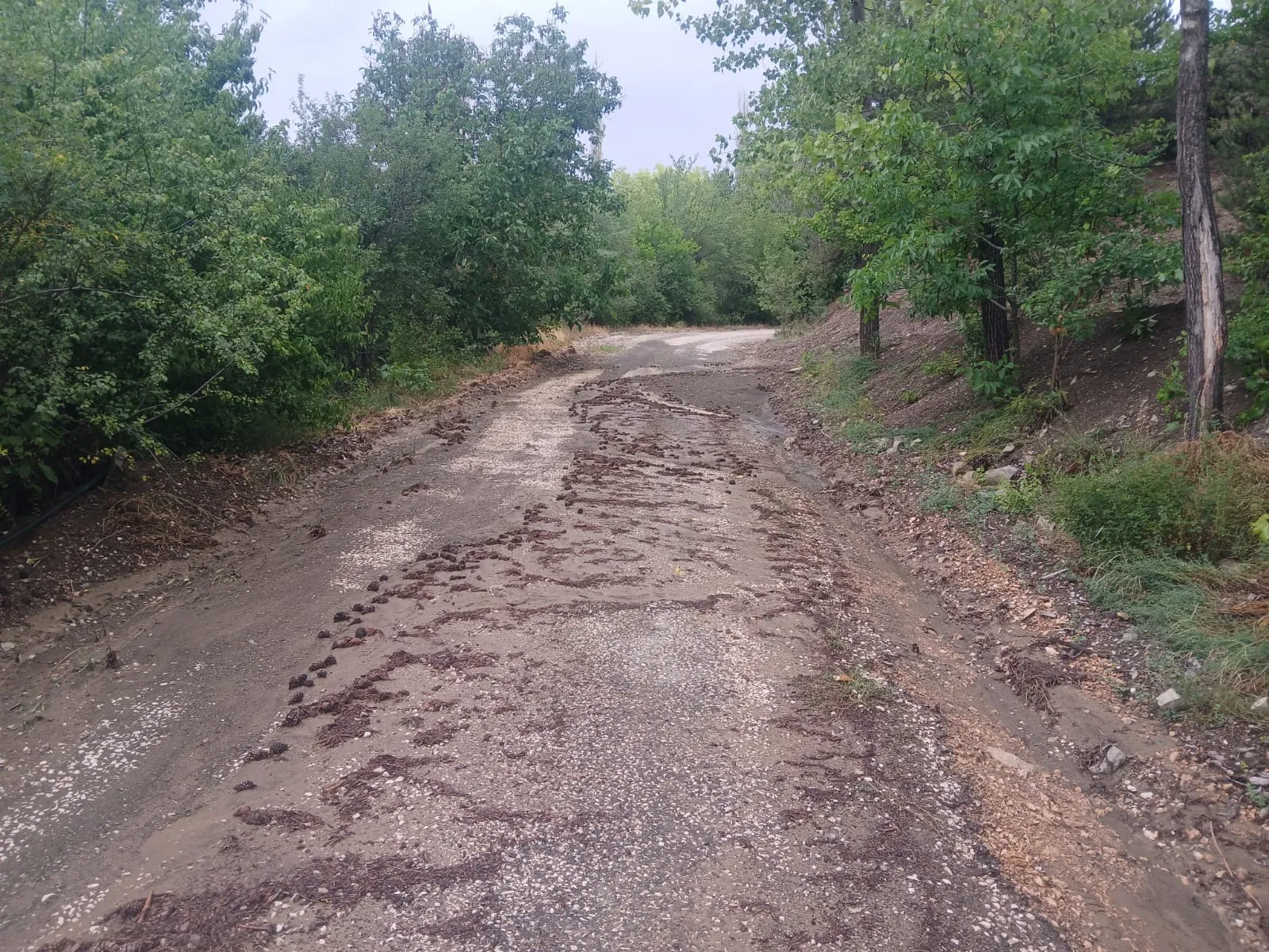 Mudurnu'da sağanak hayatı olumsuz etkiledi