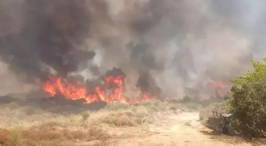 Tekirdağ'da yangın! Müdahale devam ediyor