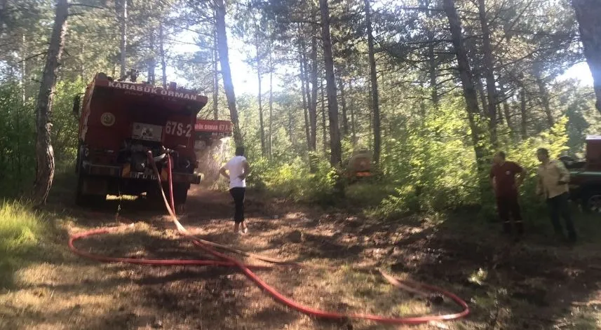 Karabük'te çıkan orman yangını kontrol altına alındı