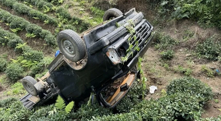 Rize'de kamyonet çay bahçesine devrildi