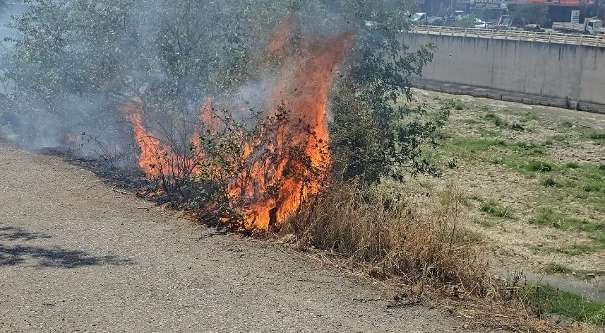 Karabük'te otluk alanda çıkan yangın söndürüldü