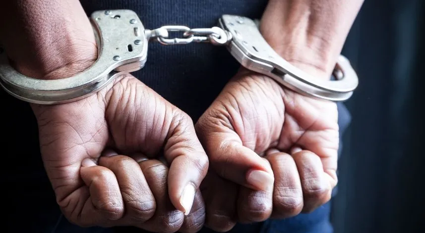Artvin'de uyuşturucu operasyonunda 1 kişi tutuklandı