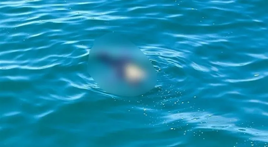 Rize'de denizde kaybolan kişinin cesedi Artvin açıklarında bulundu