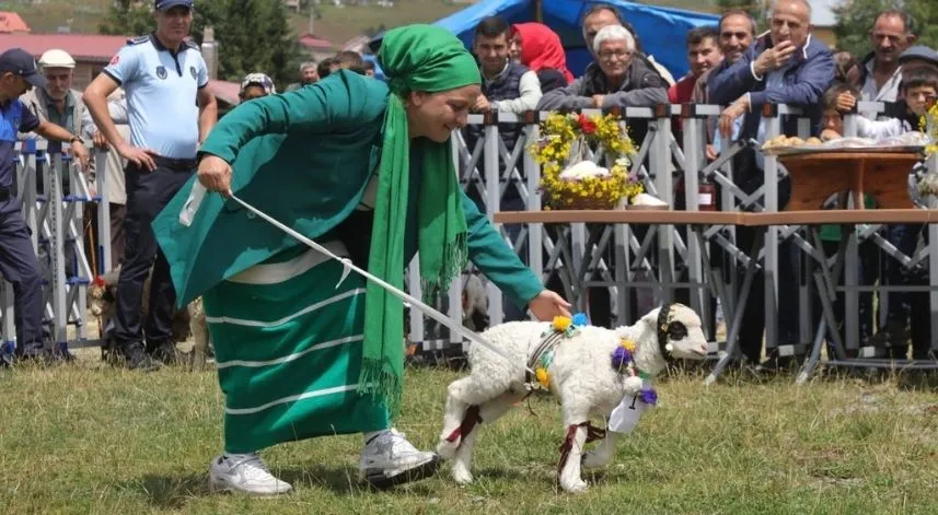 Ordu'da 21. Geleneksel Çambaşı Yayla Festivali başladı