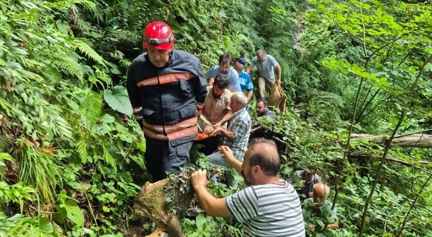 Trabzon'da uçuruma düşen yaşlı kadın kurtarıldı