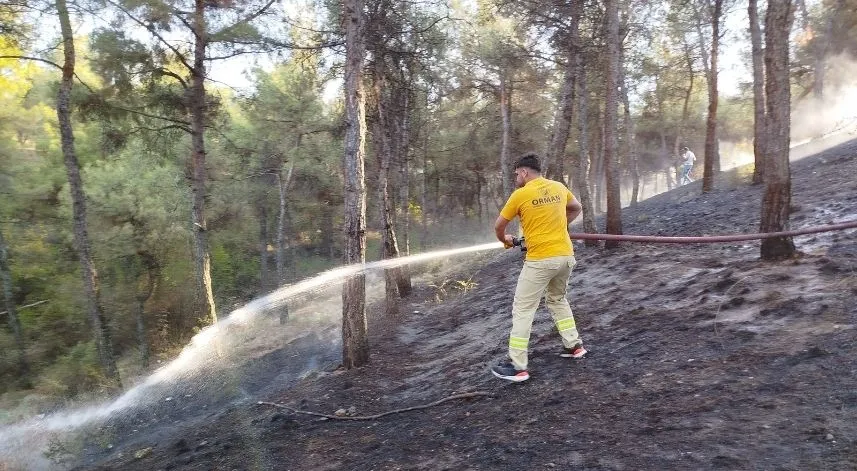 Sinop'ta ormanda çıkan yangın söndürüldü