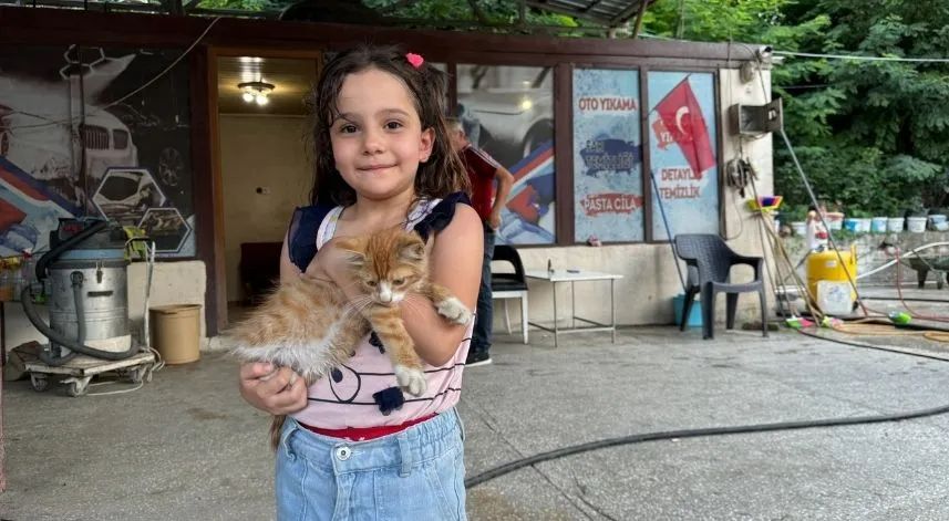 Artvin'de esnaf kalp masajıyla hayata döndürdüğü kedi yavrusuna iş yerinde bakıyor