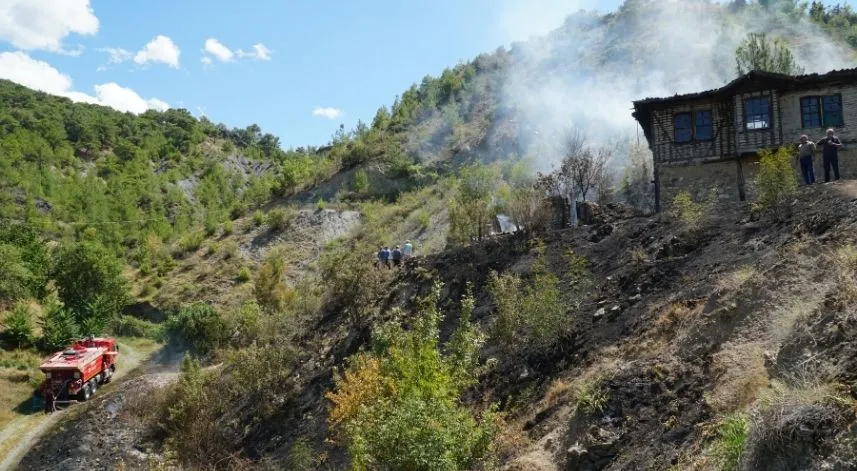 Çorum'da çıkan orman yangını söndürüldü