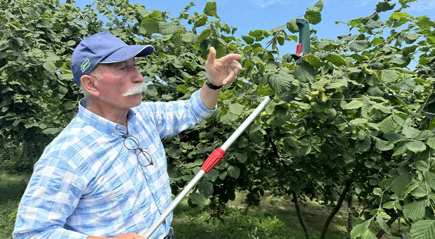 Fındık üreticisi, harmana yerden ısıtma sistemi kurmak için kolları sıvadı