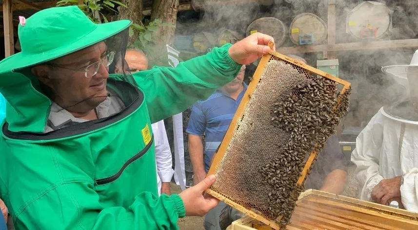 Artvin'de arıcılar kestane balı sağımına başladı