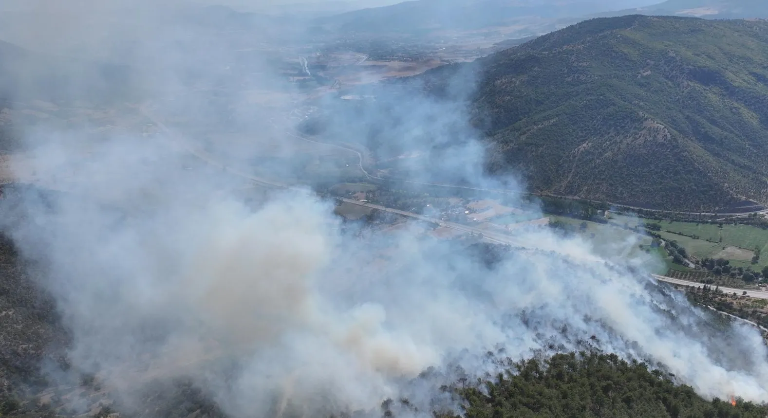 Ormanlık alanda çıkan yangına müdahale ediliyor