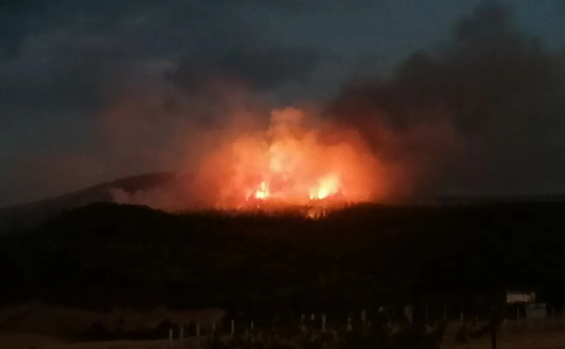 Ormanlık alanda çıkan yangın söndürüldü