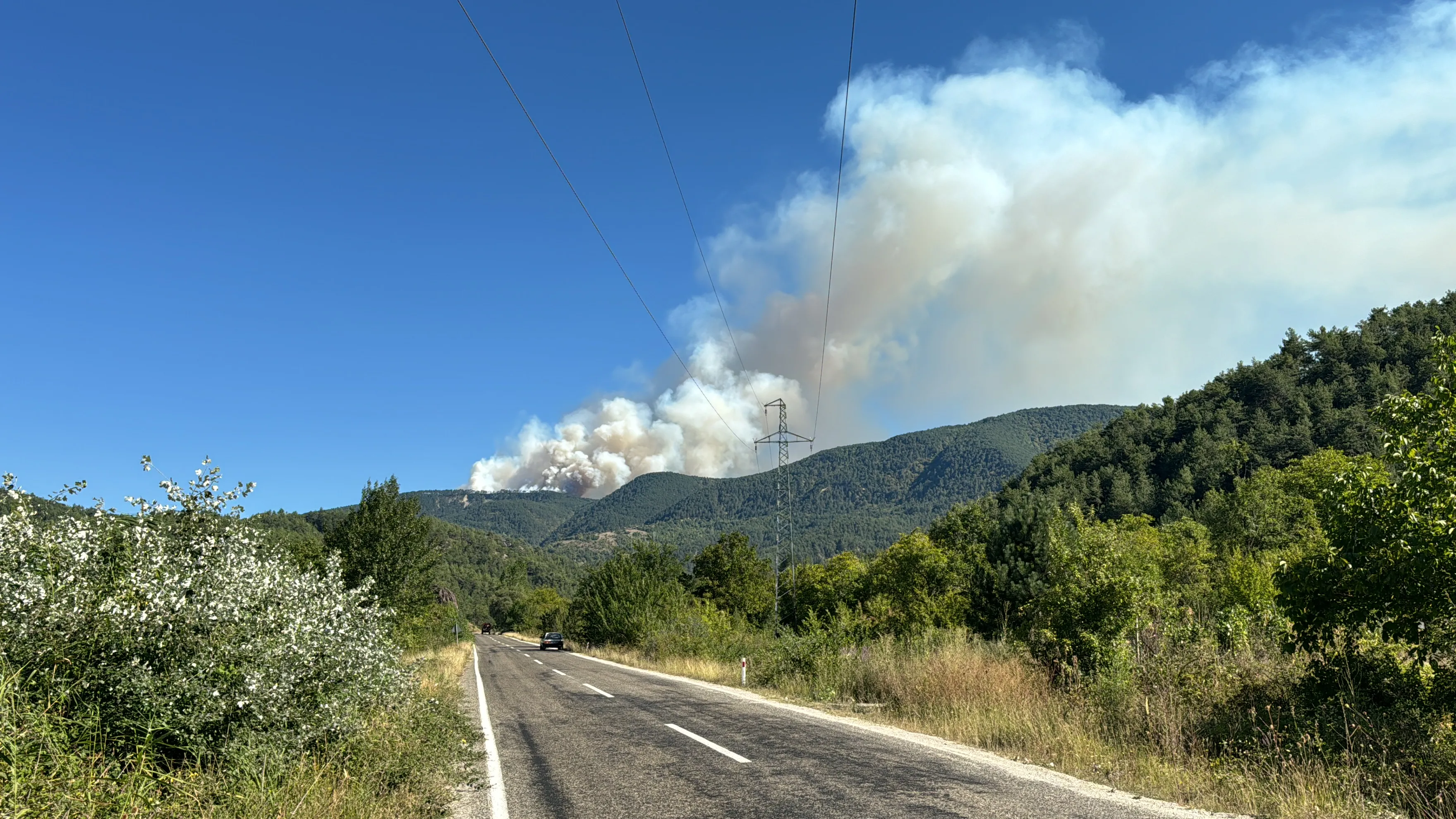 Ormanlık alanda çıkan yangına müdahale ediliyor